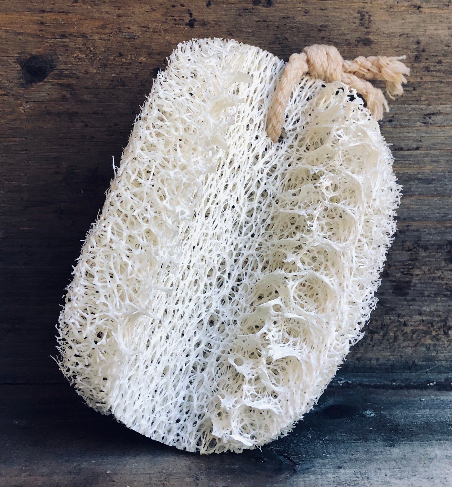 Natural Loofah Sponge