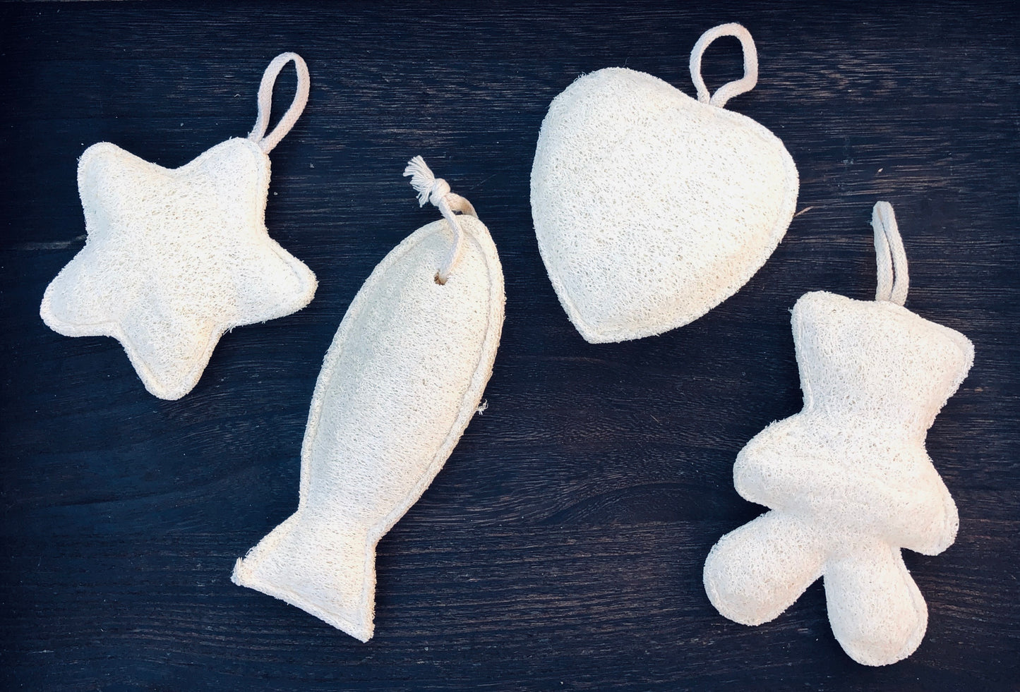 Loofah Sponge
